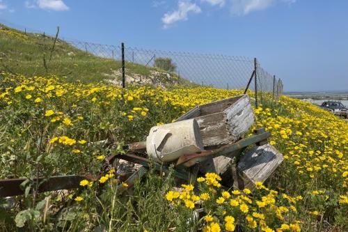 Israel and Palestine