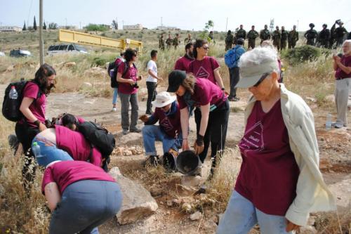 Action in Israel and Palestine