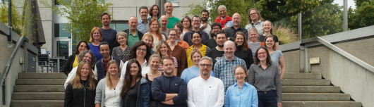Pro Peace Mitarbeitende