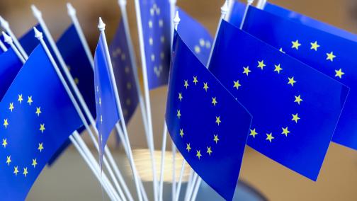 EU-Flaggen zur Europawahl 2024