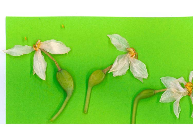 &ldquo;The shame is theirs" 2