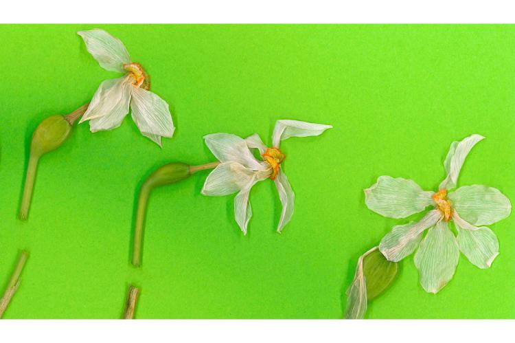 &ldquo;The shame is theirs" 3