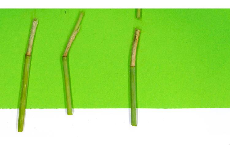 &ldquo;The shame is theirs" 4