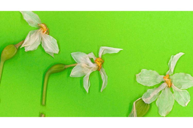 &ldquo;The shame is theirs" 5