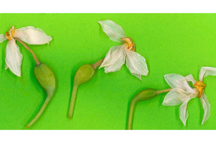 &ldquo;The shame is theirs&rdquo; 6