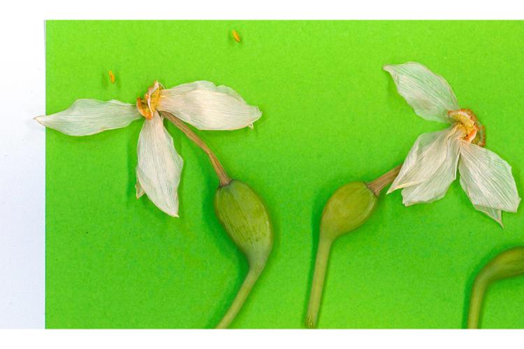 &ldquo;The shame is theirs&rdquo; 7