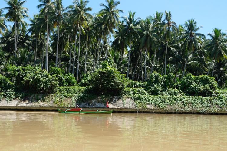 Hijo river with brown waters