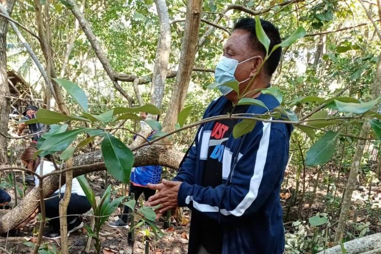 Nestor in the forest planting a tree. 