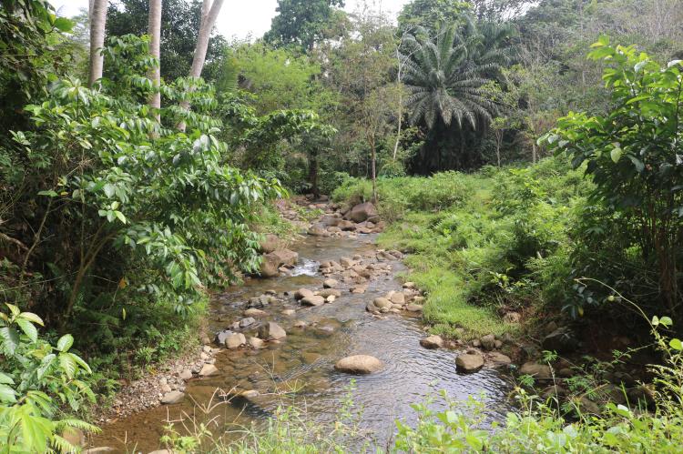 River in Agusan del Sur