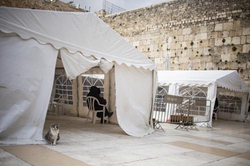 Corona Israel Pal&auml;stina 2