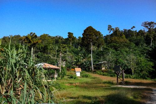 Das Land der Manobo ist bekannt f&uuml;r seine reiche Flora und Fauna.