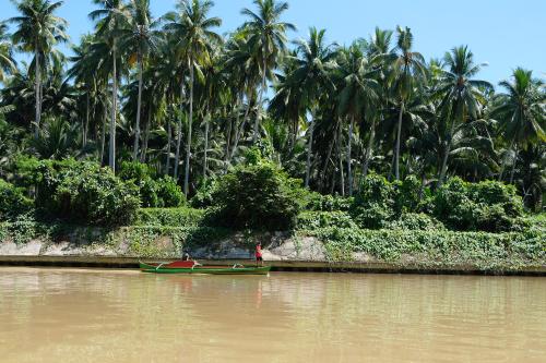 Hijo river with brown waters