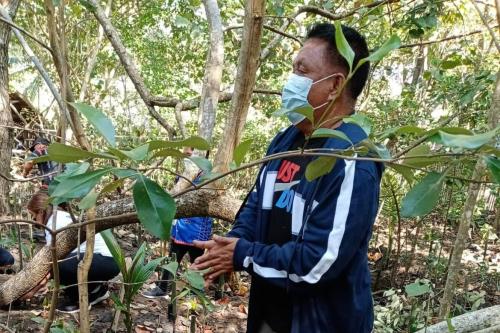 Nestor in the forest planting a tree. 