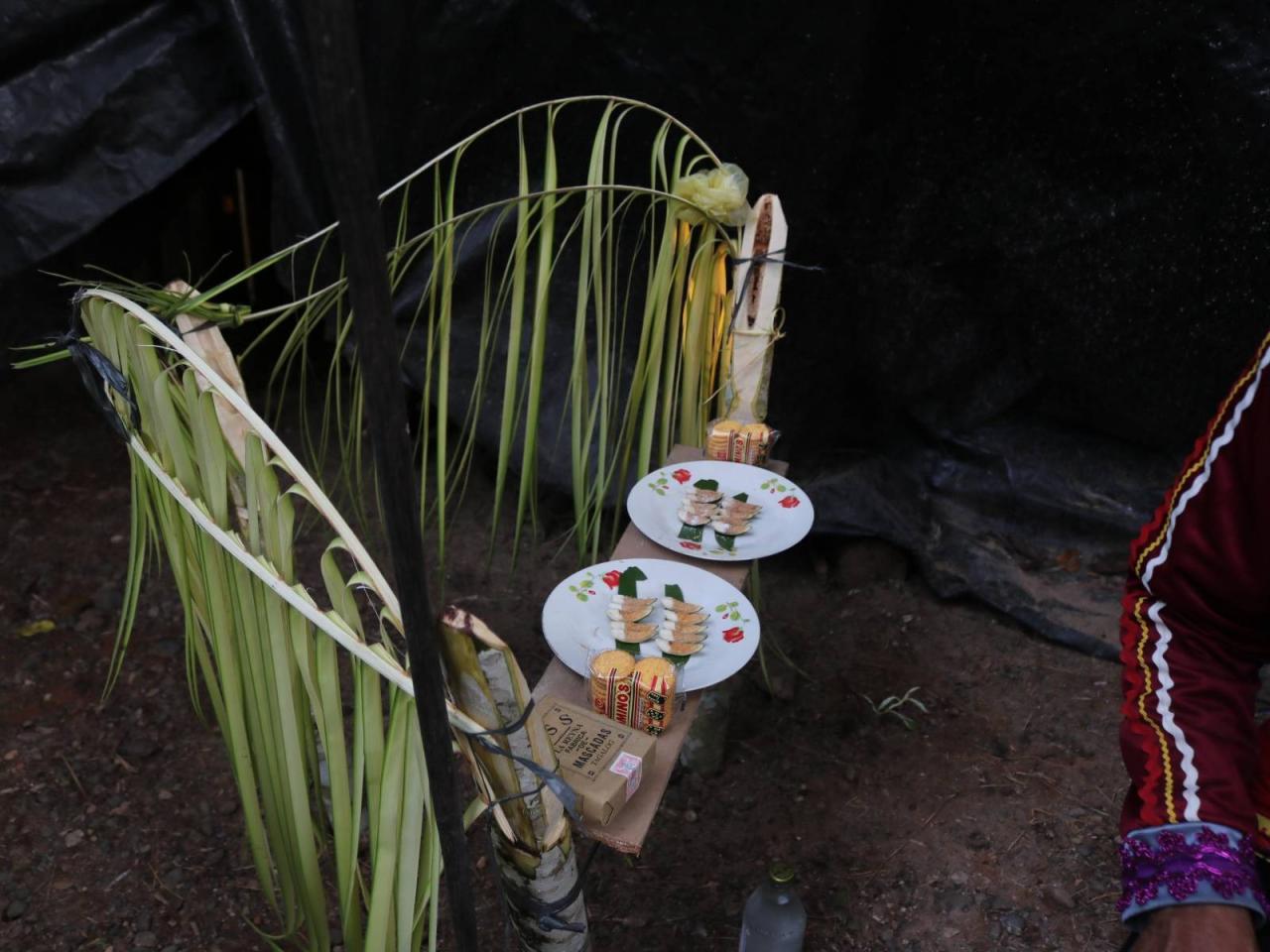 When Translating Indigenous Languages, More Than Words Are Lost | Pro Peace