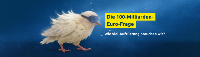 Die 100-Milliarden-Euro-Frage: Wie viel Aufr&uuml;stung brauchen wir?