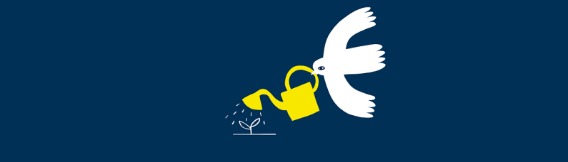 Frieden wachsen lassen