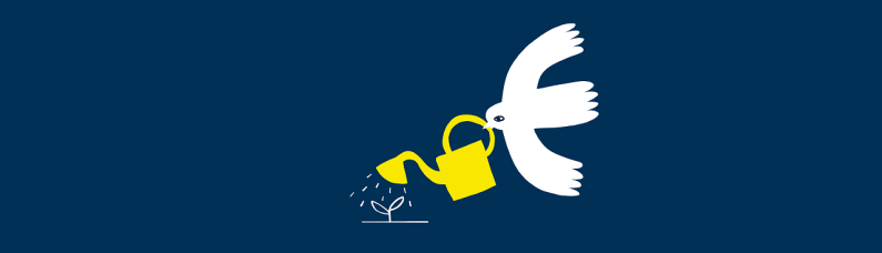 Frieden wachsen lassen