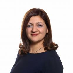 Özlem Alev Demirel