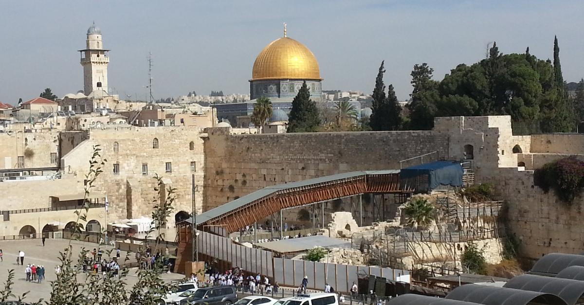 Regional Director - Palestine & Israel Programme in East-Jerusalem (all ...