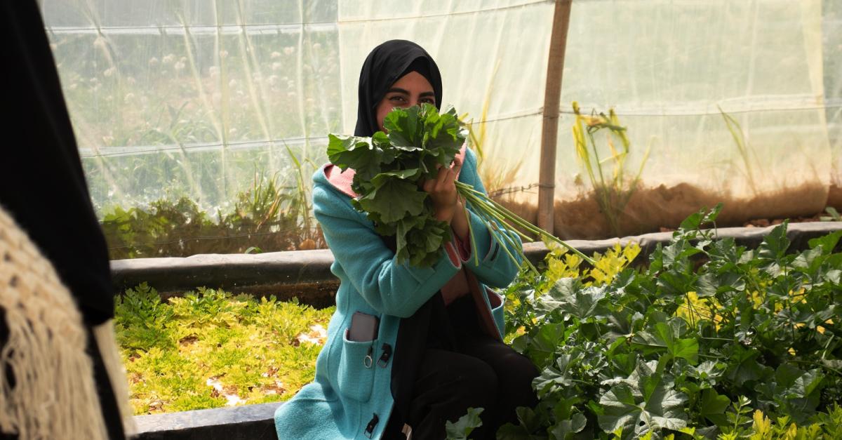 Environmental Peacebuilding: Werkstatt-Wochenende für Multiplikator*innen in der Friedensbildung | Pro Peace