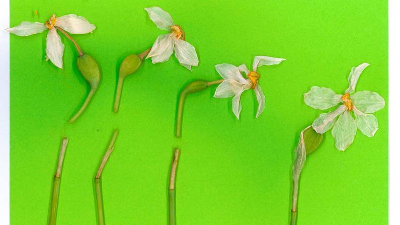 &ldquo;The shame is theirs" 1