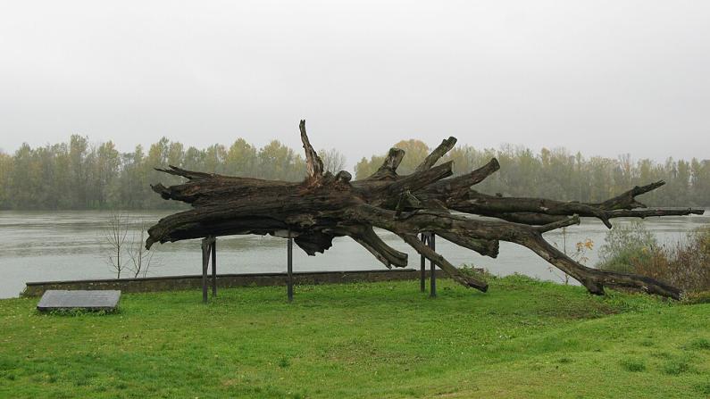 Commemoration in Donja Gradina: From a call for reconciliation to the bone of contention in Bosnia and Herzegovina 