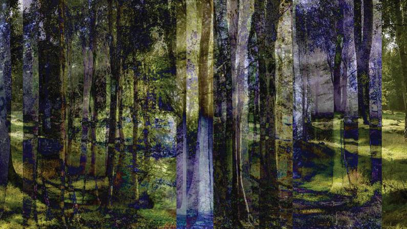 The Forest - winner of the art contest "Praznina / The Void"