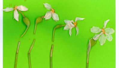 &ldquo;The shame is theirs" 1