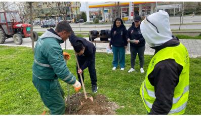 A week of activities to celebrate the International Roma Day 3