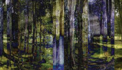  The Forest - winner of the art contest "Praznina / The Void"