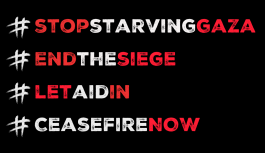 Gaza: Der Hunger muss enden Header