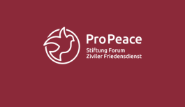 Stiftung Pro Peace
